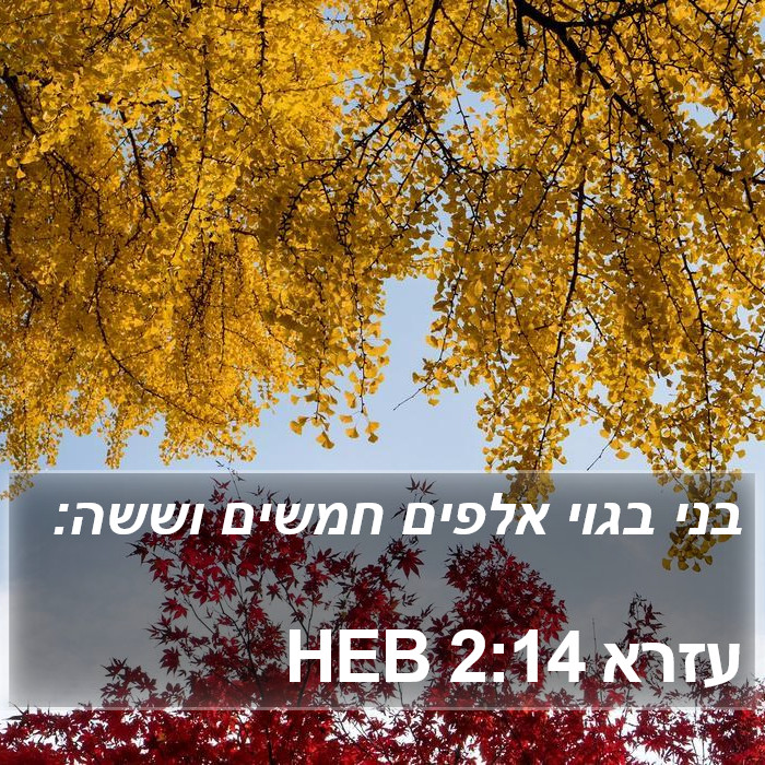 עזרא 2:14 HEB Bible Study