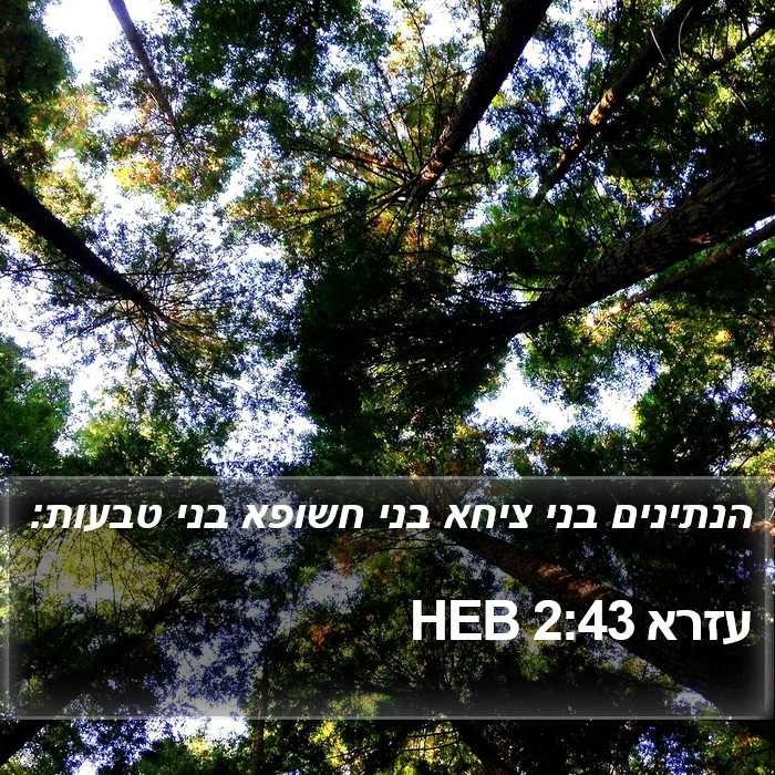 עזרא 2:43 HEB Bible Study