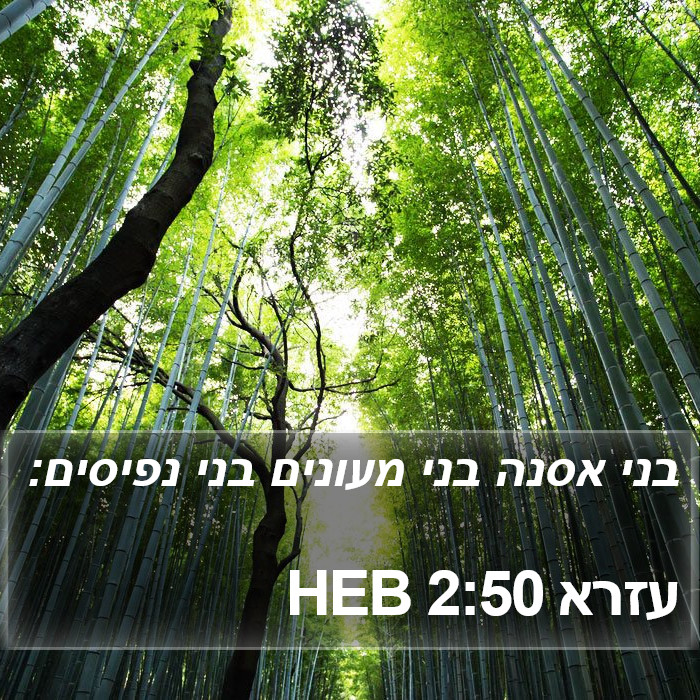 עזרא 2:50 HEB Bible Study