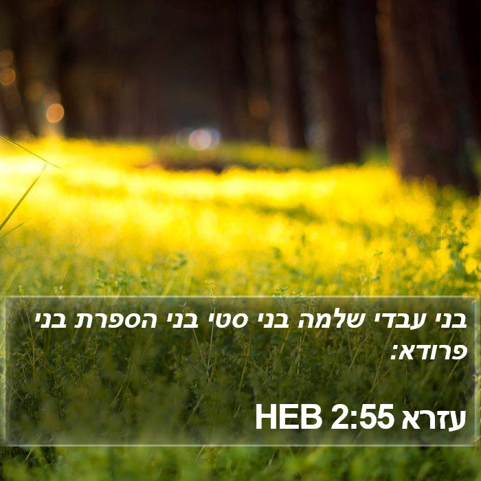 עזרא 2:55 HEB Bible Study