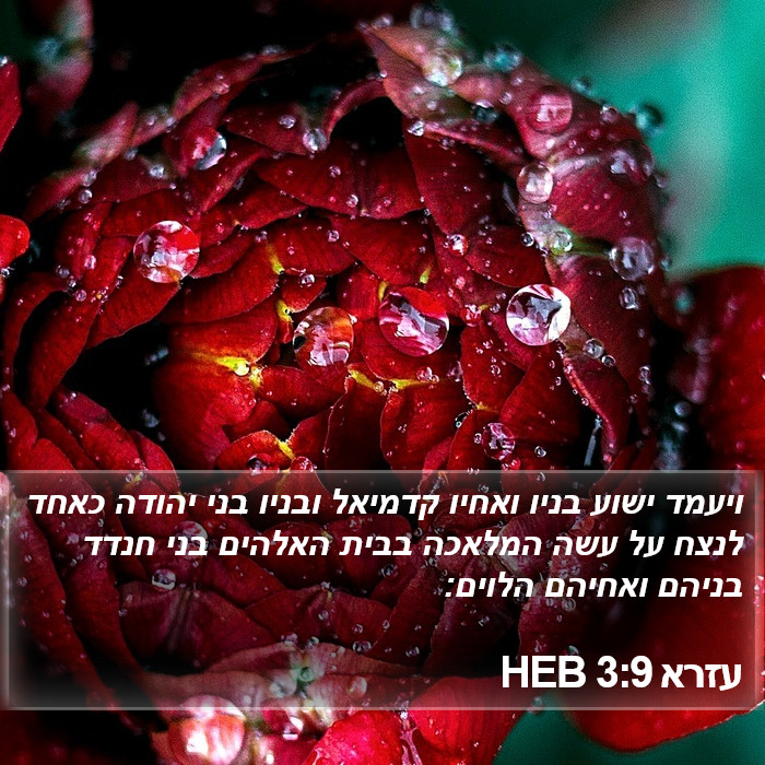 עזרא 3:9 HEB Bible Study