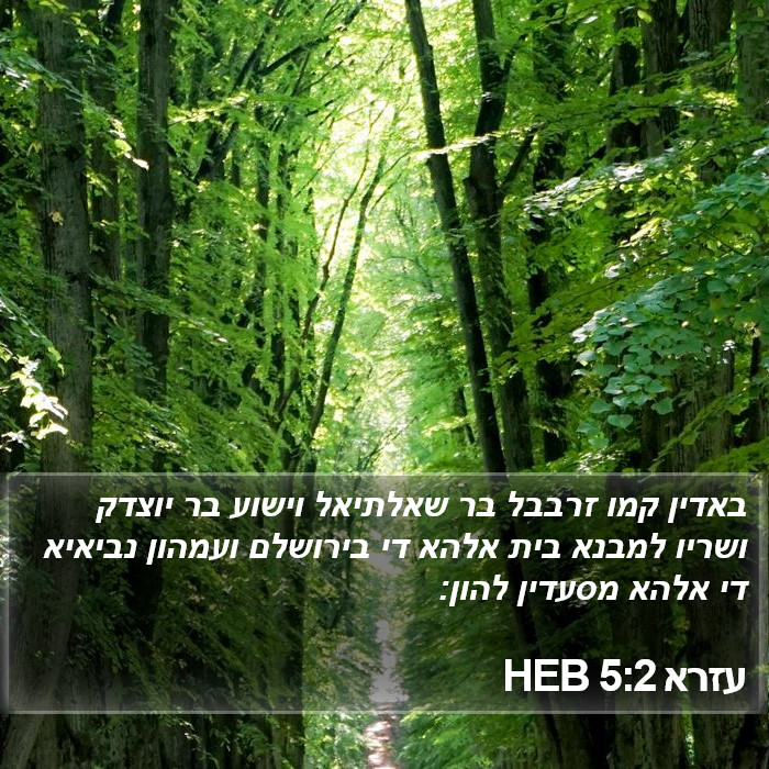 עזרא 5:2 HEB Bible Study