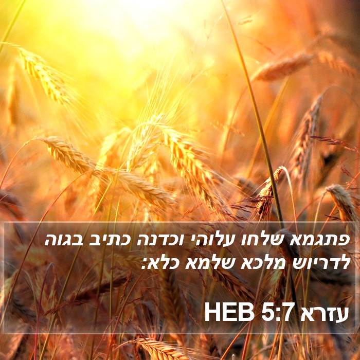 עזרא 5:7 HEB Bible Study