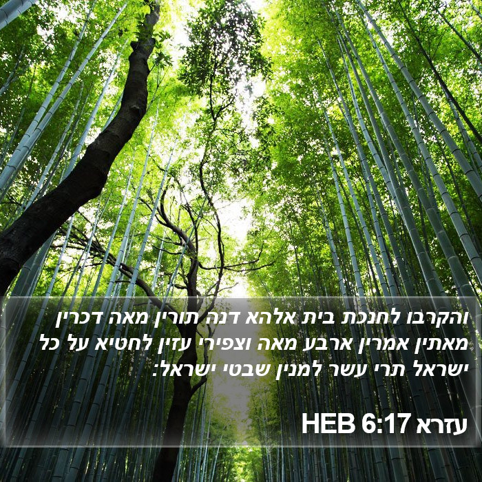 עזרא 6:17 HEB Bible Study