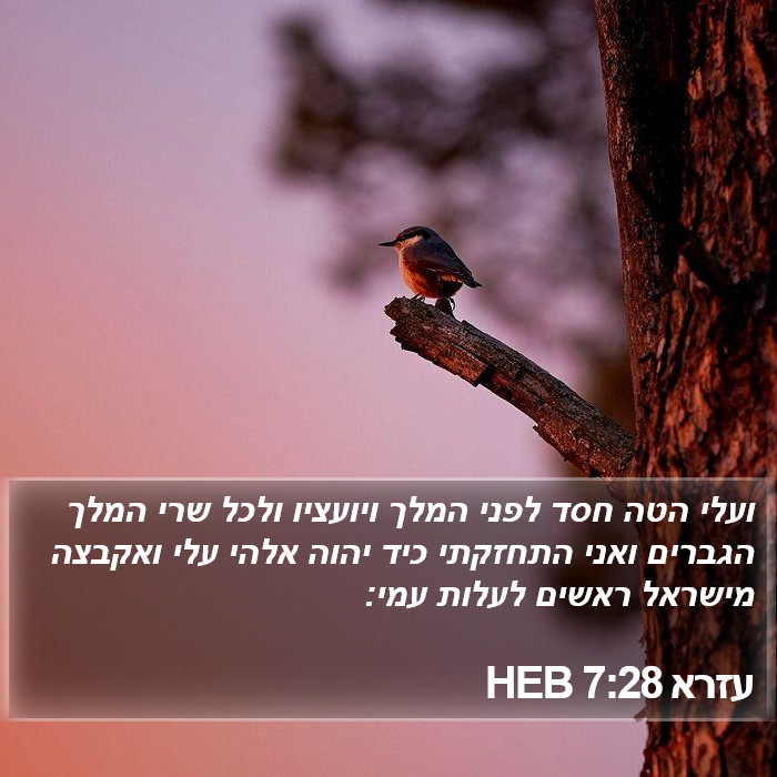 עזרא 7:28 HEB Bible Study