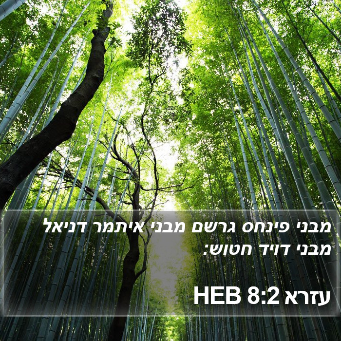 עזרא 8:2 HEB Bible Study