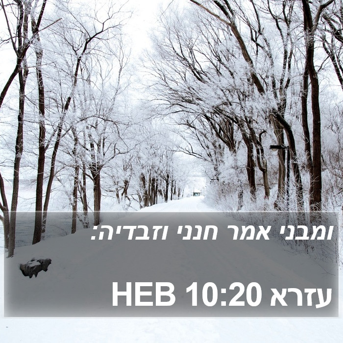 עזרא 10:20 HEB Bible Study