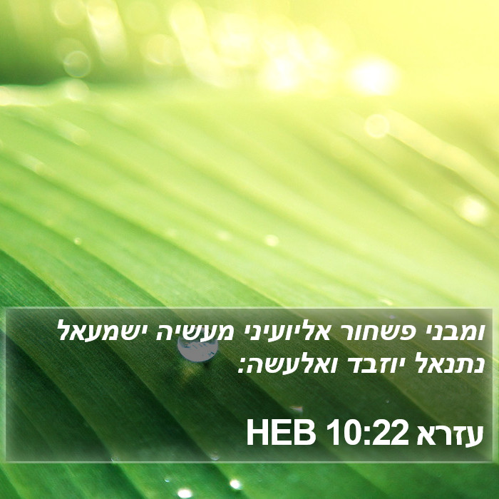 עזרא 10:22 HEB Bible Study