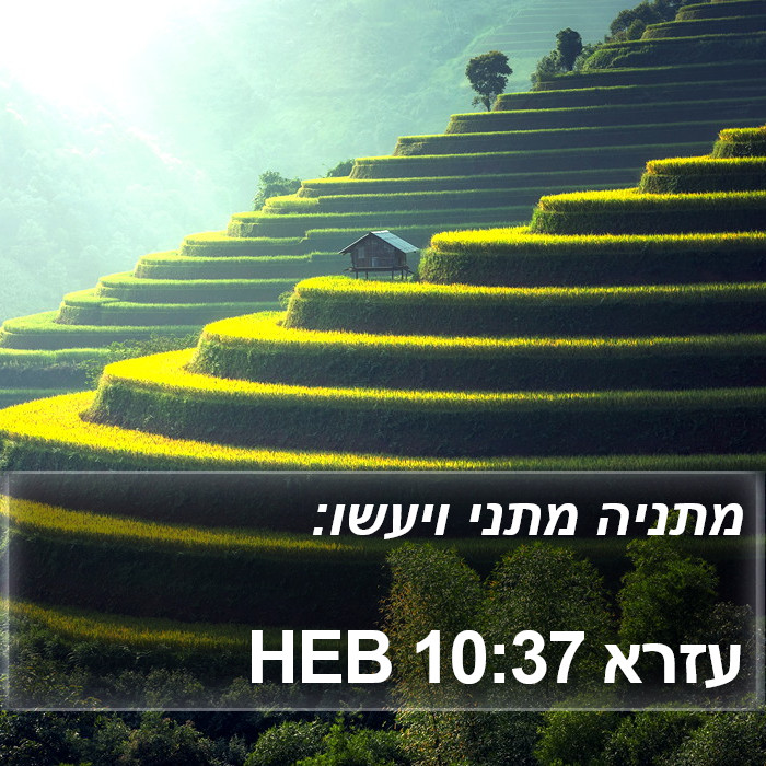 עזרא 10:37 HEB Bible Study