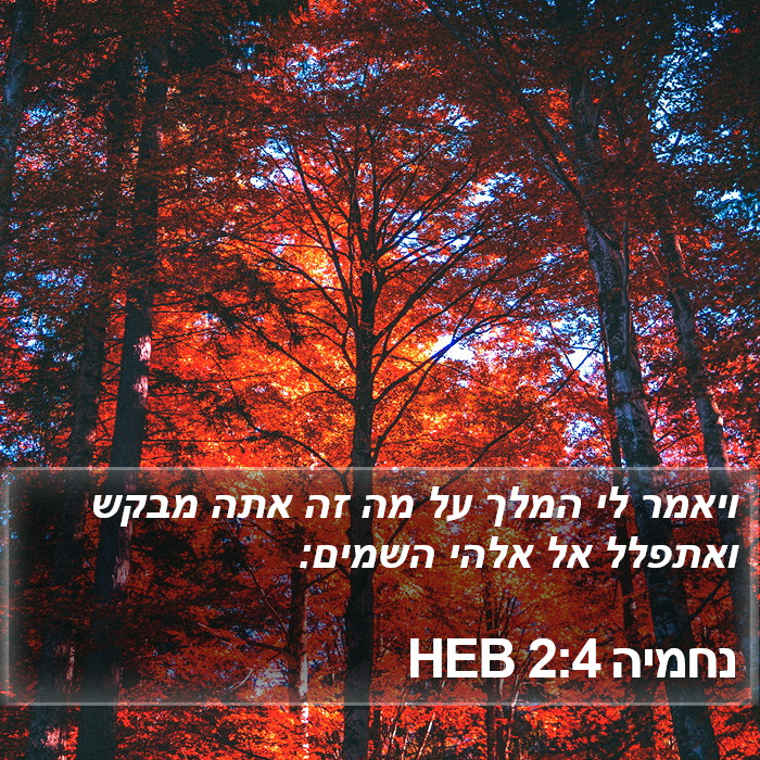 נחמיה 2:4 HEB Bible Study