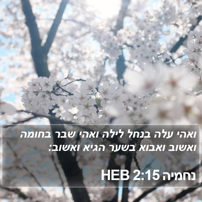 נחמיה 2:15 HEB Bible Study