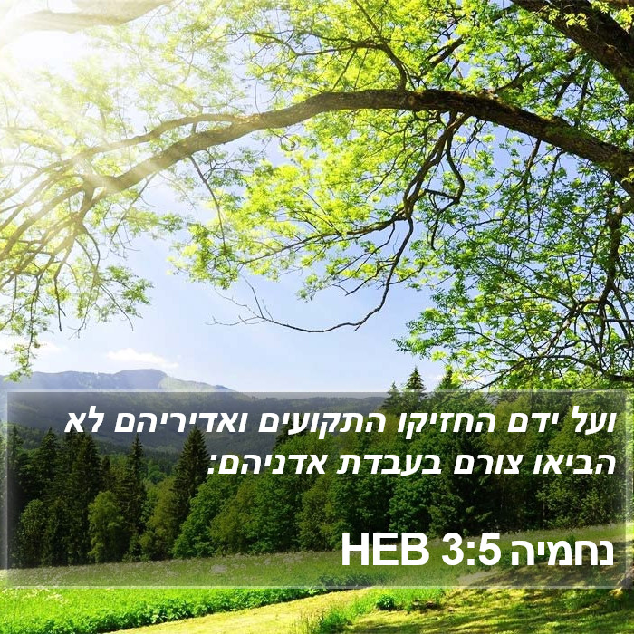 נחמיה 3:5 HEB Bible Study