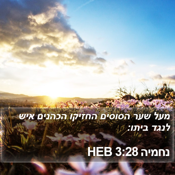 נחמיה 3:28 HEB Bible Study