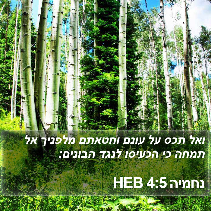 נחמיה 4:5 HEB Bible Study