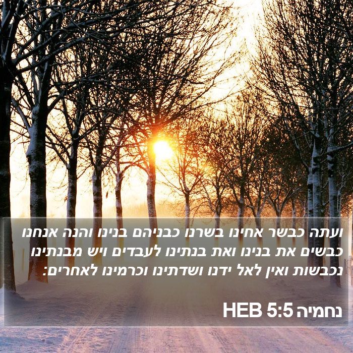 נחמיה 5:5 HEB Bible Study