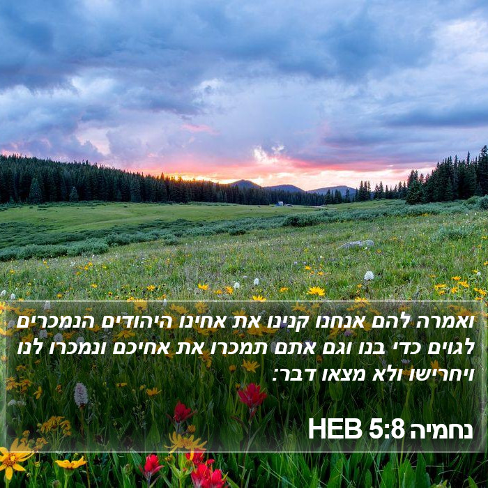 נחמיה 5:8 HEB Bible Study