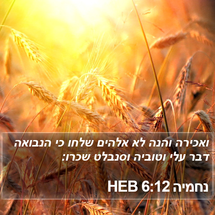 נחמיה 6:12 HEB Bible Study