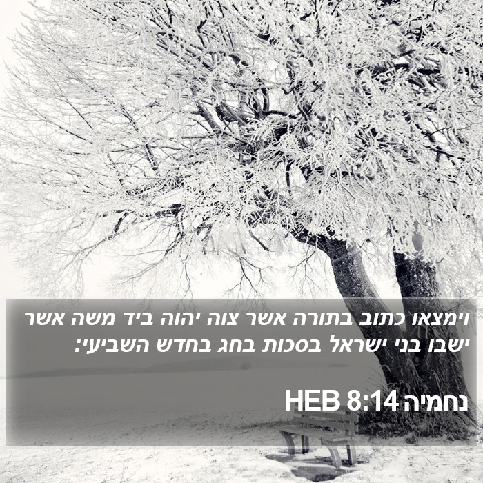 נחמיה 8:14 HEB Bible Study