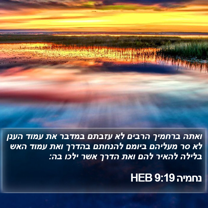 נחמיה 9:19 HEB Bible Study