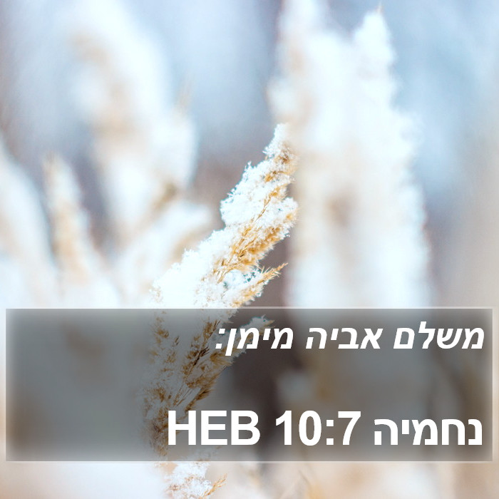 נחמיה 10:7 HEB Bible Study