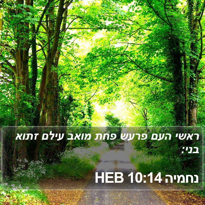 נחמיה 10:14 HEB Bible Study