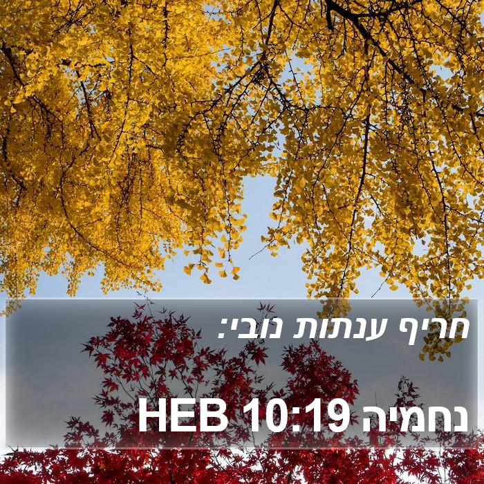 נחמיה 10:19 HEB Bible Study