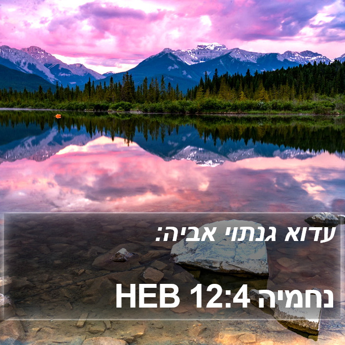 נחמיה 12:4 HEB Bible Study