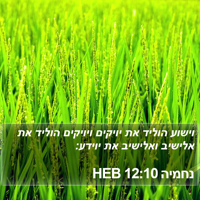 נחמיה 12:10 HEB Bible Study