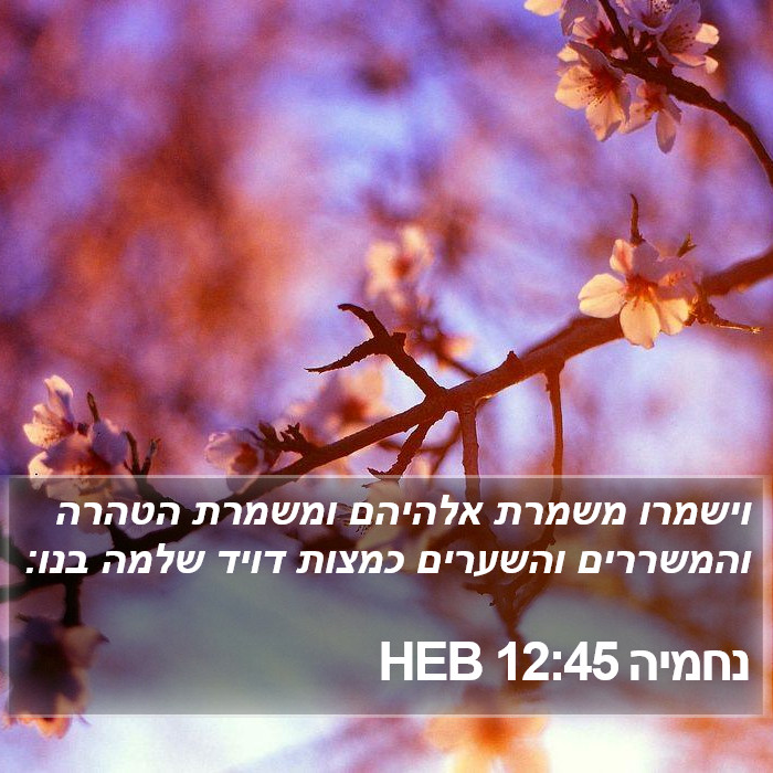 נחמיה 12:45 HEB Bible Study