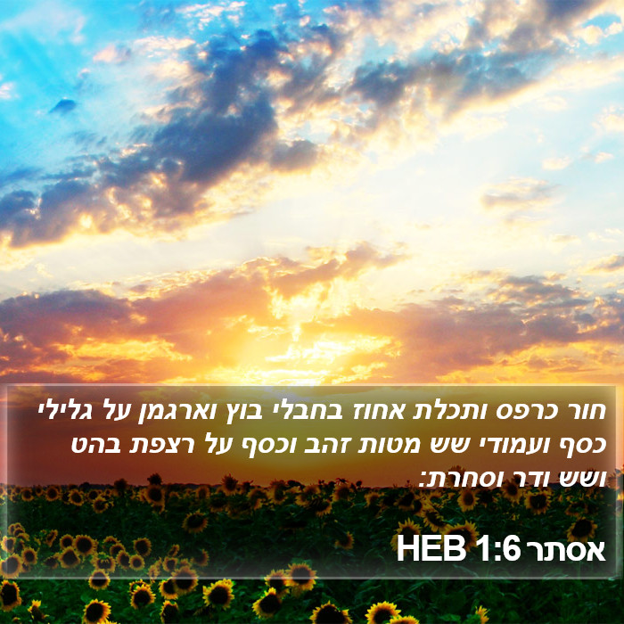 אסתר 1:6 HEB Bible Study