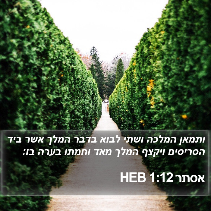 אסתר 1:12 HEB Bible Study