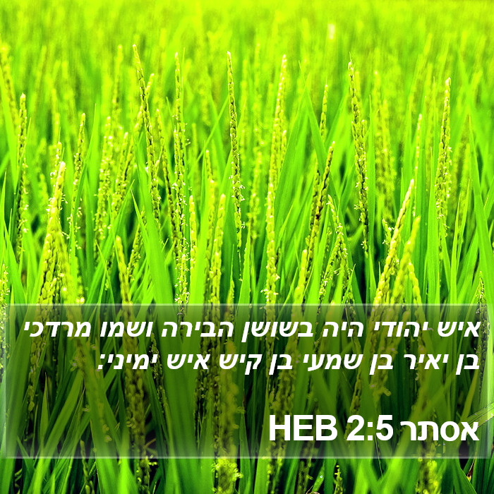 אסתר 2:5 HEB Bible Study