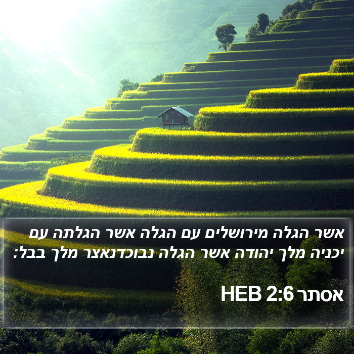 אסתר 2:6 HEB Bible Study