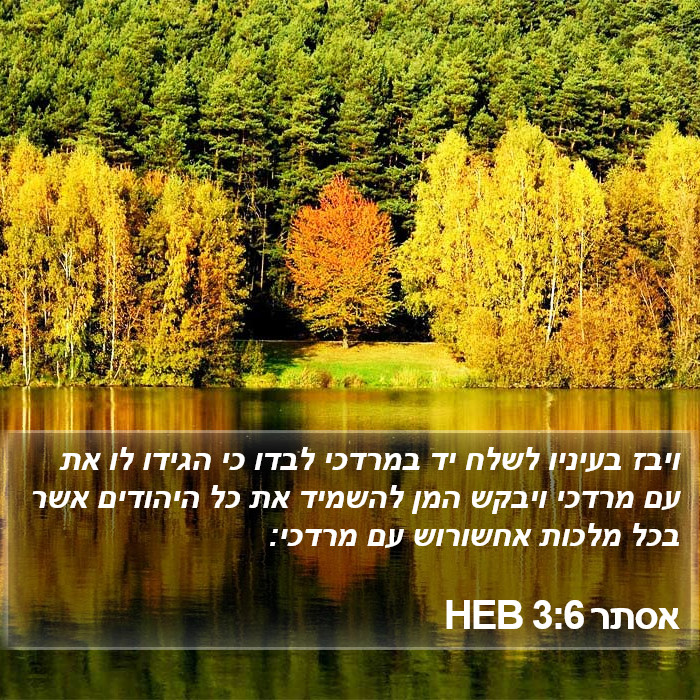 אסתר 3:6 HEB Bible Study