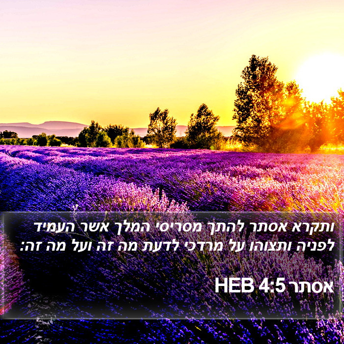 אסתר 4:5 HEB Bible Study