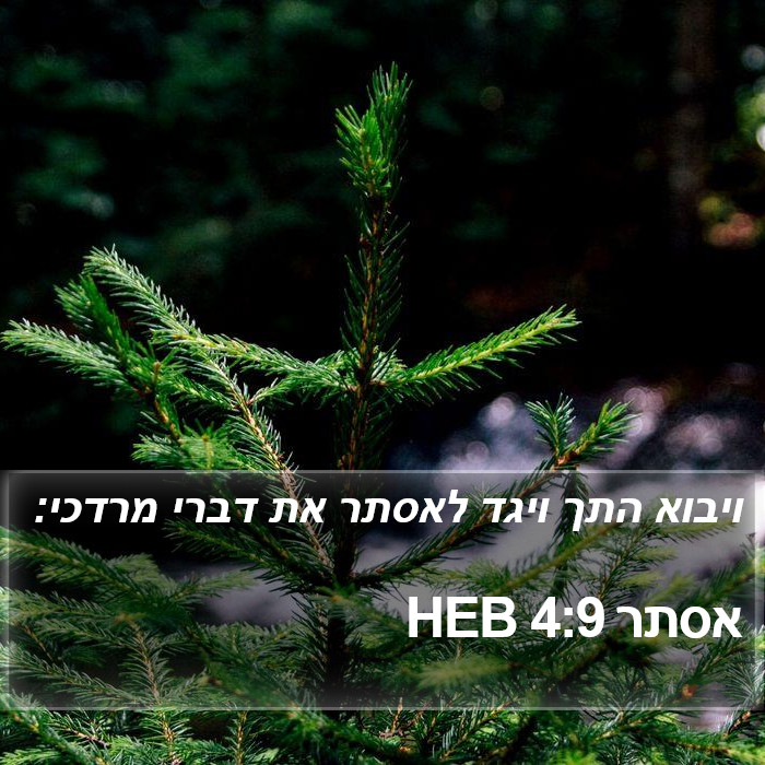 אסתר 4:9 HEB Bible Study