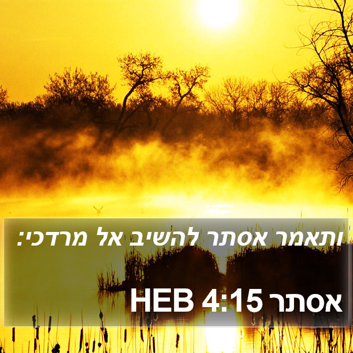 אסתר 4:15 HEB Bible Study