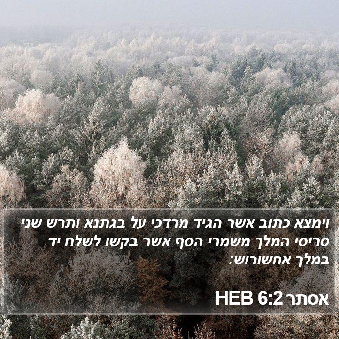 אסתר 6:2 HEB Bible Study