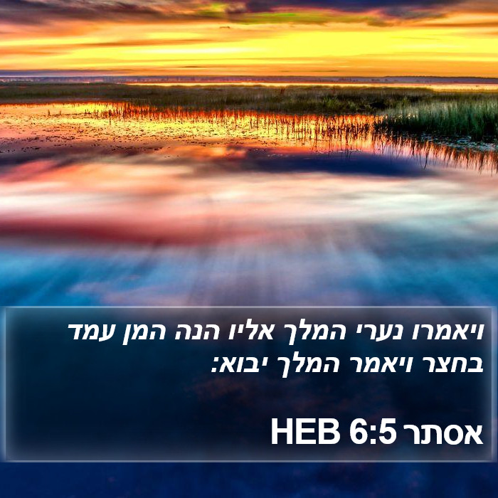 אסתר 6:5 HEB Bible Study