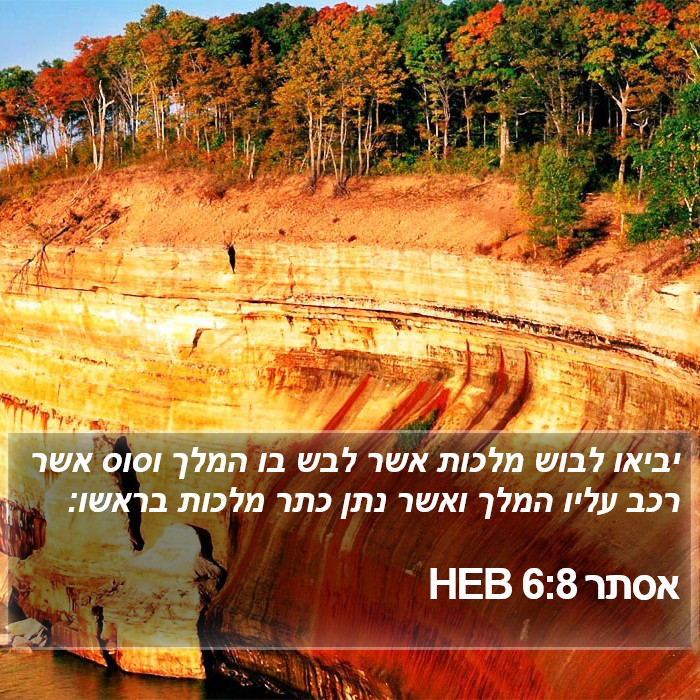 אסתר 6:8 HEB Bible Study