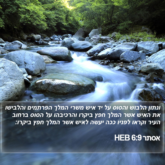 אסתר 6:9 HEB Bible Study