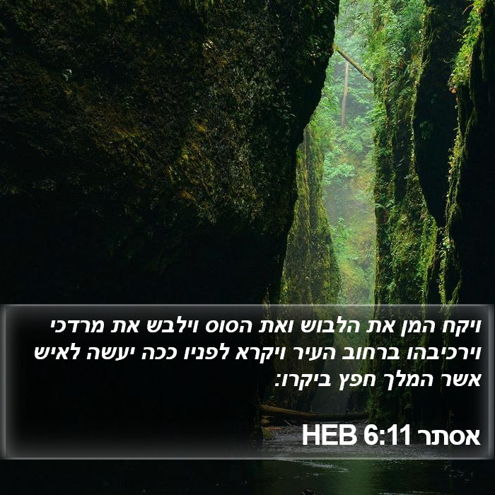 אסתר 6:11 HEB Bible Study