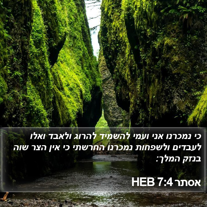 אסתר 7:4 HEB Bible Study