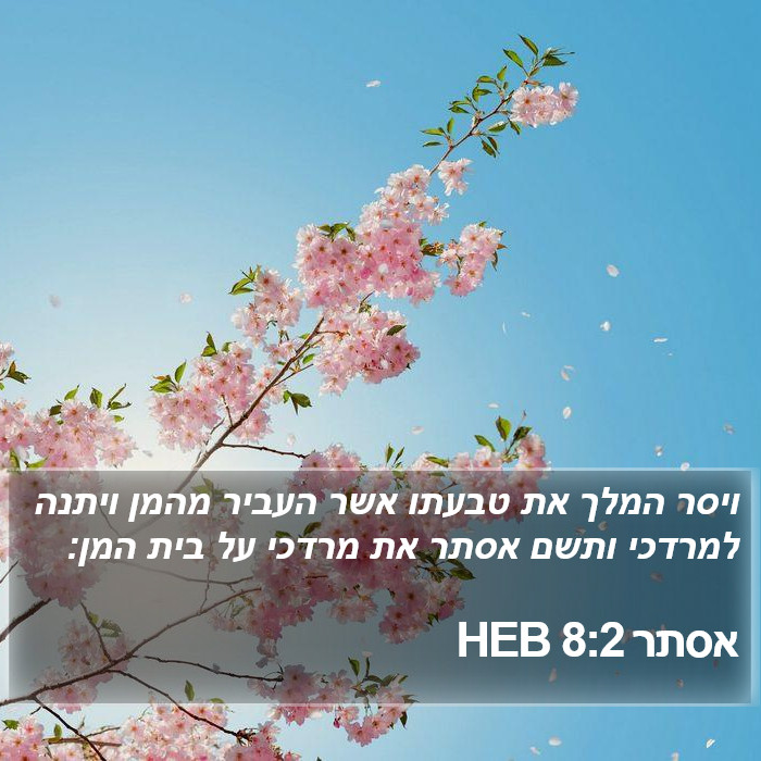 אסתר 8:2 HEB Bible Study