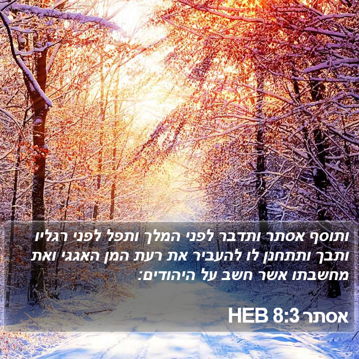 אסתר 8:3 HEB Bible Study