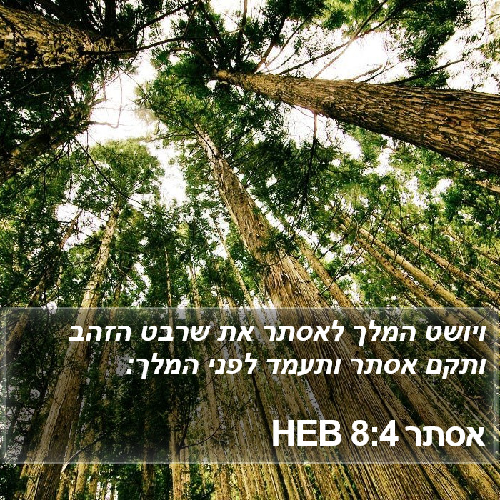 אסתר 8:4 HEB Bible Study