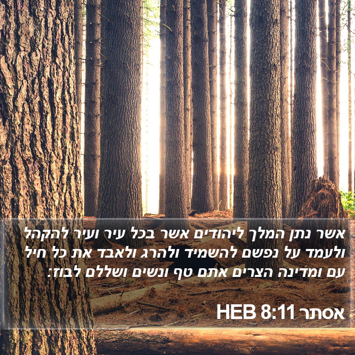 אסתר 8:11 HEB Bible Study