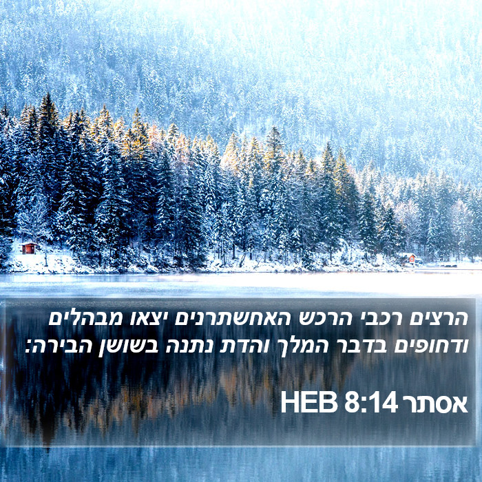 אסתר 8:14 HEB Bible Study