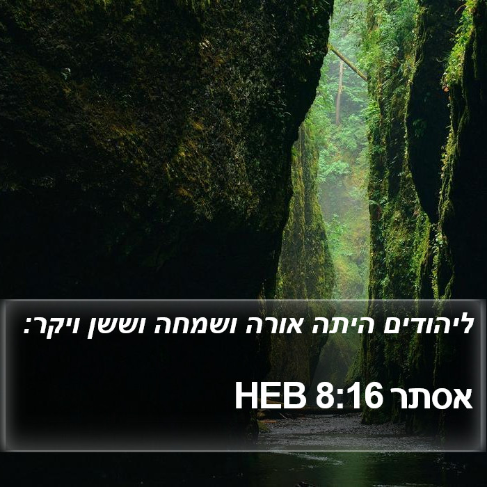 אסתר 8:16 HEB Bible Study