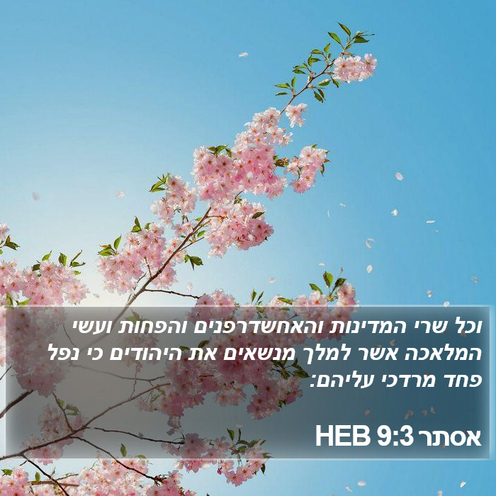 אסתר 9:3 HEB Bible Study